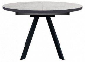 Стол обеденный RD100 в Режи - rezh.mebel24.online | фото