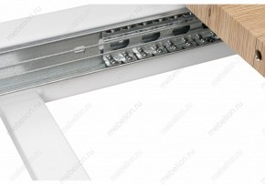 Стол обеденный Санса 120 в Режи - rezh.mebel24.online | фото 10