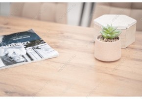 Стол обеденный Тринити Лофт 120 в Режи - rezh.mebel24.online | фото 6