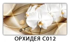 Стол раздвижной Трилогия с фотопечатью Лайм R156 в Режи - rezh.mebel24.online | фото 13