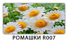 Стол раздвижной Трилогия с фотопечатью Лайм R156 в Режи - rezh.mebel24.online | фото 15
