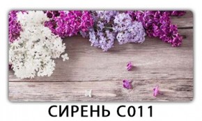 Стол раздвижной Трилогия с фотопечатью Лайм R156 в Режи - rezh.mebel24.online | фото 16