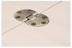 Стол-трансформер Престиж в Режи - rezh.mebel24.online | фото 10