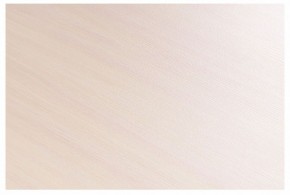 Стол-трансформер Престиж в Режи - rezh.mebel24.online | фото 8
