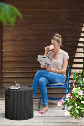 Столик-холодильник Кул-Стул (Cool stool) графит в Режи - rezh.mebel24.online | фото 1