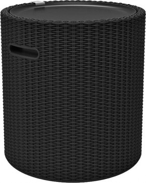 Столик-холодильник Кул-Стул (Cool stool) графит в Режи - rezh.mebel24.online | фото 2