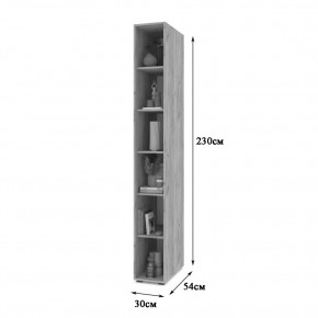СТОУН С10 Пенал-стеллаж (дуб золотой) в Режи - rezh.mebel24.online | фото 2