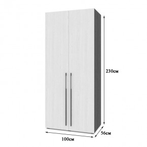 СТОУН С22 Шкаф 2-х створчатый с ящиками (анкор темный/анкор светлый) в Режи - rezh.mebel24.online | фото 2