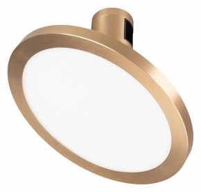 Светильник на штанге Arlight APRIORI 039293 в Режи - rezh.mebel24.online | фото