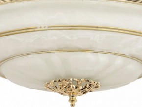 Светильник на штанге Arti Lampadari Pavia Pavia E 1.13.P40 G в Режи - rezh.mebel24.online | фото 3