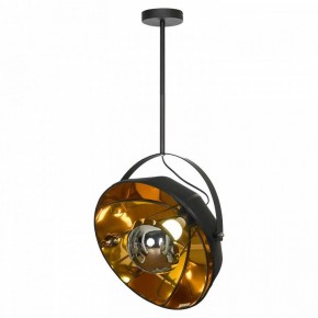 Светильник на штанге Lussole Klamath LSP-0556-C80 в Режи - rezh.mebel24.online | фото 2