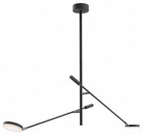 Светильник на штанге Maytoni Fad MOD070CL-L15B3K1 в Режи - rezh.mebel24.online | фото