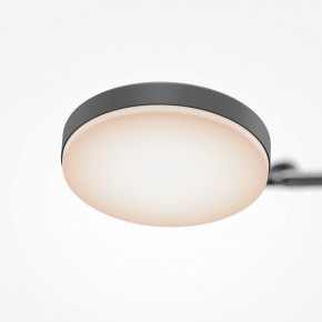 Светильник на штанге Maytoni Fad MOD070CL-L15B3K1 в Режи - rezh.mebel24.online | фото 7