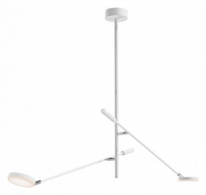 Светильник на штанге Maytoni Fad MOD070CL-L15W3K1 в Режи - rezh.mebel24.online | фото