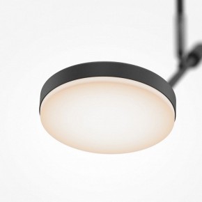 Светильник на штанге Maytoni Fad MOD070CL-L8B3K в Режи - rezh.mebel24.online | фото 4