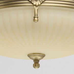 Светильник на штанге MW-Light Афродита 1 317011504 в Режи - rezh.mebel24.online | фото 4