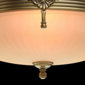 Светильник на штанге MW-Light Афродита 1 317011504 в Режи - rezh.mebel24.online | фото 5