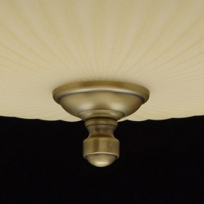 Светильник на штанге MW-Light Афродита 1 317011504 в Режи - rezh.mebel24.online | фото 9