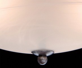Светильник на штанге MW-Light Аида 11 323012603 в Режи - rezh.mebel24.online | фото 8