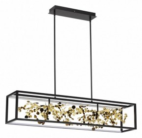 Светильник на штанге Odeon Light Bild 5065/65L в Режи - rezh.mebel24.online | фото