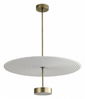 Светильник на штанге Odeon Light Felt 7035/20CL в Режи - rezh.mebel24.online | фото