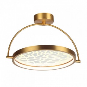Светильник на штанге Odeon Light Solaris 6627/36CL в Режи - rezh.mebel24.online | фото 3