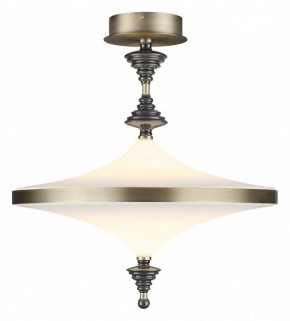Светильник на штанге Odeon Light Ula 5404/43CL в Режи - rezh.mebel24.online | фото 2