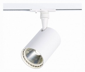 Светильник на штанге ST-Luce Cami ST351.536.20.36 в Режи - rezh.mebel24.online | фото 2