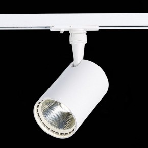 Светильник на штанге ST-Luce Cami ST351.536.20.36 в Режи - rezh.mebel24.online | фото 6