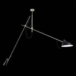Светильник на штанге ST-Luce Jarro SL1803.203.02 в Режи - rezh.mebel24.online | фото 3