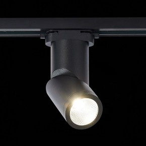 Светильник на штанге ST-Luce ST650 ST650.436.10 в Режи - rezh.mebel24.online | фото 3
