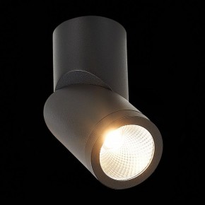 Светильник на штанге ST-Luce ST650 ST650.442.10 в Режи - rezh.mebel24.online | фото 5
