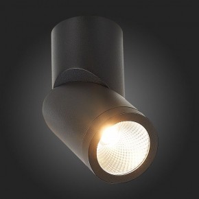 Светильник на штанге ST-Luce ST650 ST650.442.10 в Режи - rezh.mebel24.online | фото 6