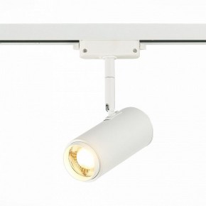 Светильник на штанге ST-Luce Zoom ST600.536.12 в Режи - rezh.mebel24.online | фото 2