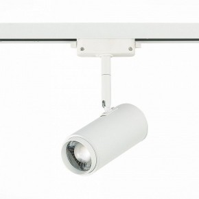 Светильник на штанге ST-Luce Zoom ST600.536.12 в Режи - rezh.mebel24.online | фото 3