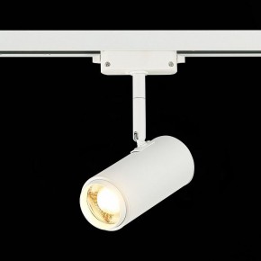 Светильник на штанге ST-Luce Zoom ST600.536.12 в Режи - rezh.mebel24.online | фото 4