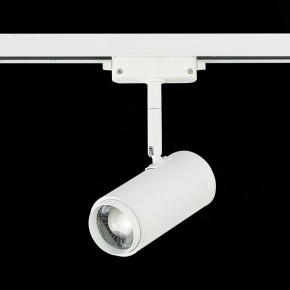 Светильник на штанге ST-Luce Zoom ST600.536.12 в Режи - rezh.mebel24.online | фото 5