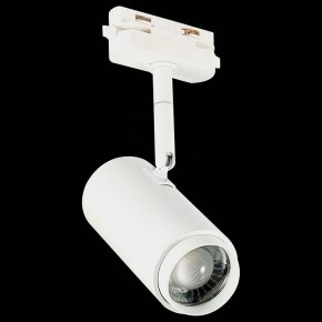 Светильник на штанге ST-Luce Zoom ST600.536.12 в Режи - rezh.mebel24.online | фото 6