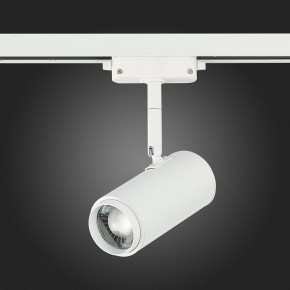 Светильник на штанге ST-Luce Zoom ST600.536.12 в Режи - rezh.mebel24.online | фото 8