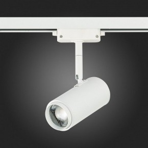 Светильник на штанге ST-Luce Zoom ST600.546.12 в Режи - rezh.mebel24.online | фото 8