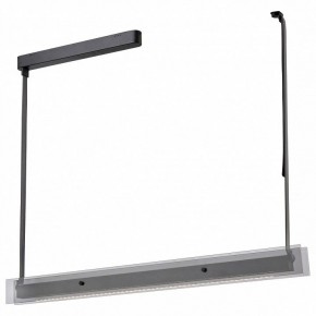 Светильник на штанге Wertmark Kuno WE435.12.023 в Режи - rezh.mebel24.online | фото
