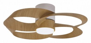 Светильник с вентилятором Mantra Rose 8707 в Режи - rezh.mebel24.online | фото