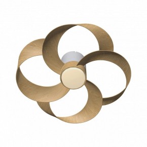 Светильник с вентилятором Mantra Rose 8707 в Режи - rezh.mebel24.online | фото 2