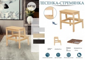 Табурет Стремянка в Режи - rezh.mebel24.online | фото 4