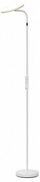 Торшер Citilux SOLO CL804060 в Режи - rezh.mebel24.online | фото