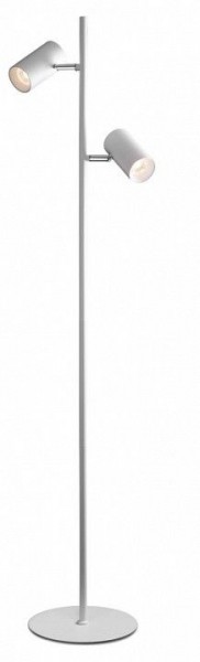 Торшер Citilux Twin CL809010N в Режи - rezh.mebel24.online | фото