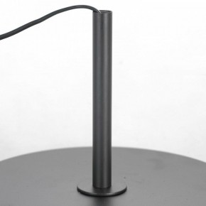 Торшер Lussole  LSP-0590 в Режи - rezh.mebel24.online | фото 3