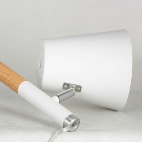 Торшер Lussole Buckeye LSP-0628 в Режи - rezh.mebel24.online | фото 4