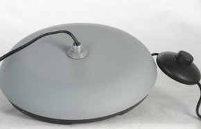 Торшер Lussole Flagstaff LSP-0630 в Режи - rezh.mebel24.online | фото 6