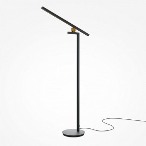 Торшер Maytoni Emphaty MOD363FL-L14B3K в Режи - rezh.mebel24.online | фото 2